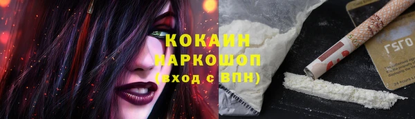 ГАЛЛЮЦИНОГЕННЫЕ ГРИБЫ Бородино