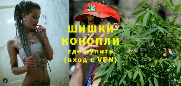 ГАЛЛЮЦИНОГЕННЫЕ ГРИБЫ Бородино