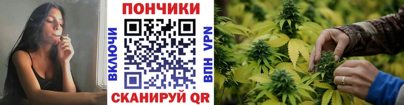 Купить закладки  Мариинск  МАРИХУАНА индика 